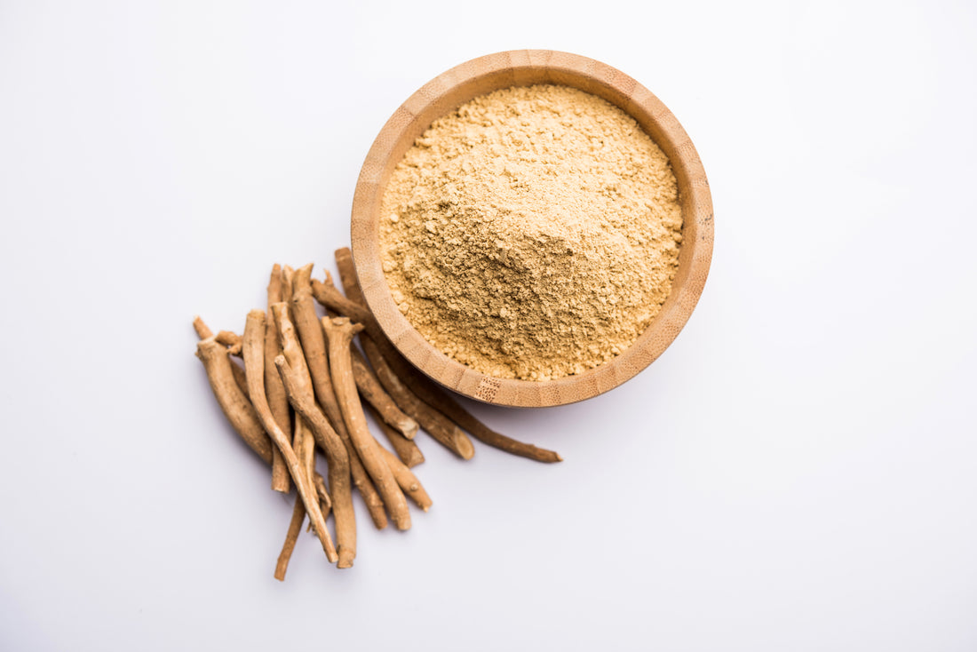 Ashwagandha - Die wichtigsten Fakten - Wirkung und Einsatz der Withania Somnifera, der Ayurveda Heilwurzel