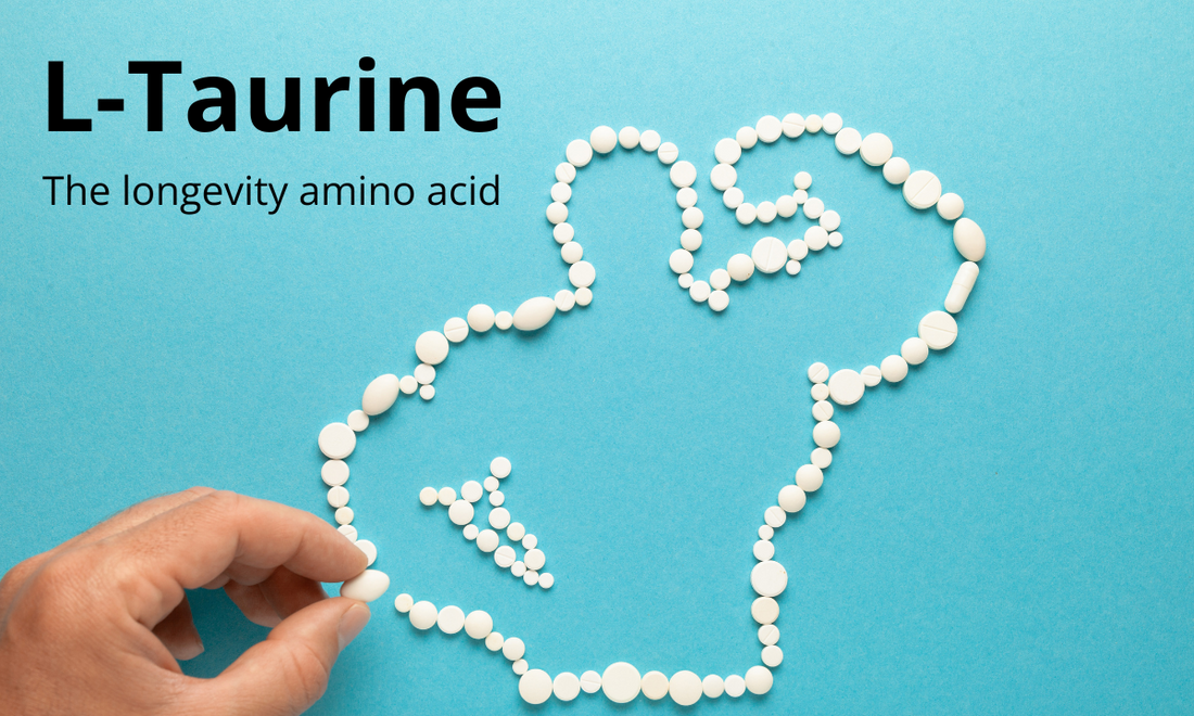 L-Taurine: The powerful longevity amino acid